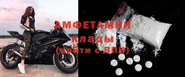 индика Алексин