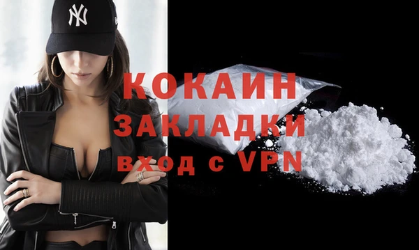 индика Алексин