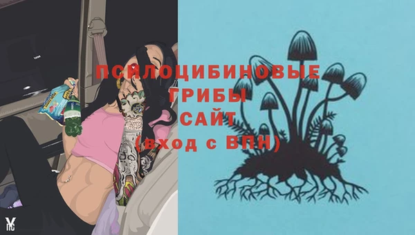 PSILOCYBIN Алексеевка