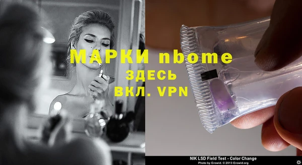 индика Алексин