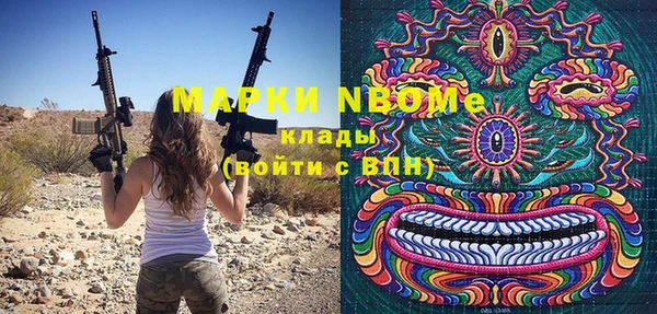 индика Алексин
