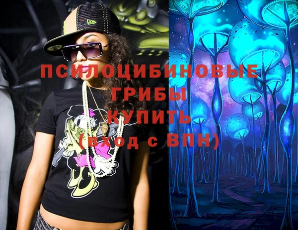 PSILOCYBIN Алексеевка