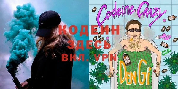 индика Алексин