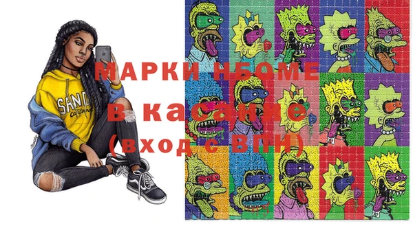 индика Алексин