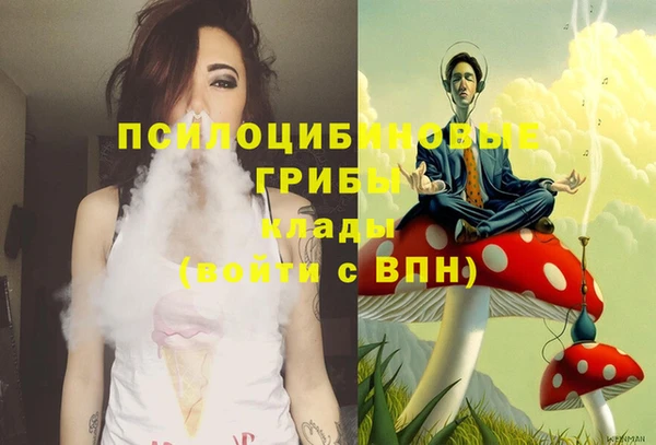 индика Алексин