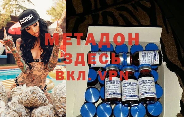 индика Алексин