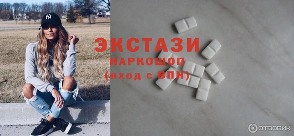 индика Алексин