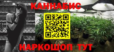 сатива Обнинск