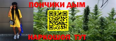 сатива Обнинск