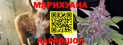 сатива Обнинск