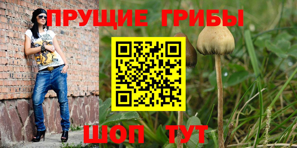 Псилоцибиновые грибы мицелий Феодосия