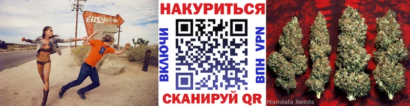 Бошки Шишки Amnesia Феодосия